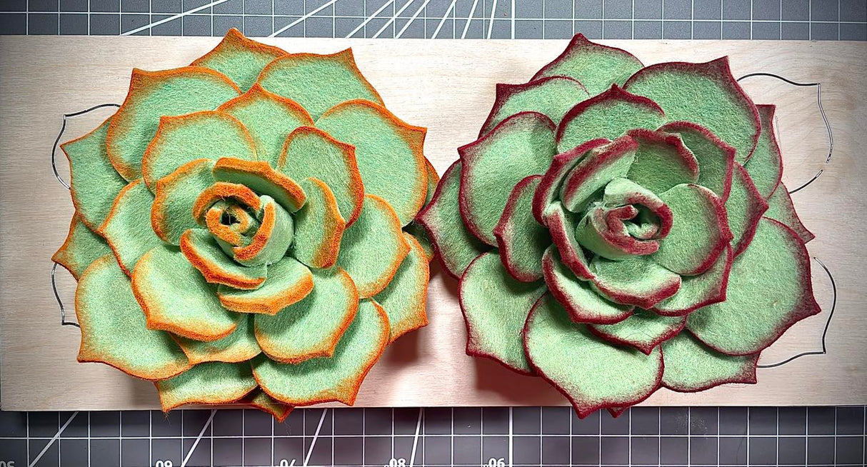 Fustella "Echeveria" Baby