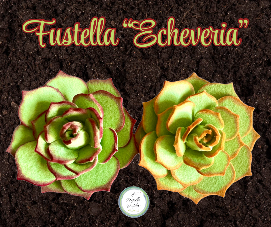 Fustella "Echeveria" Baby