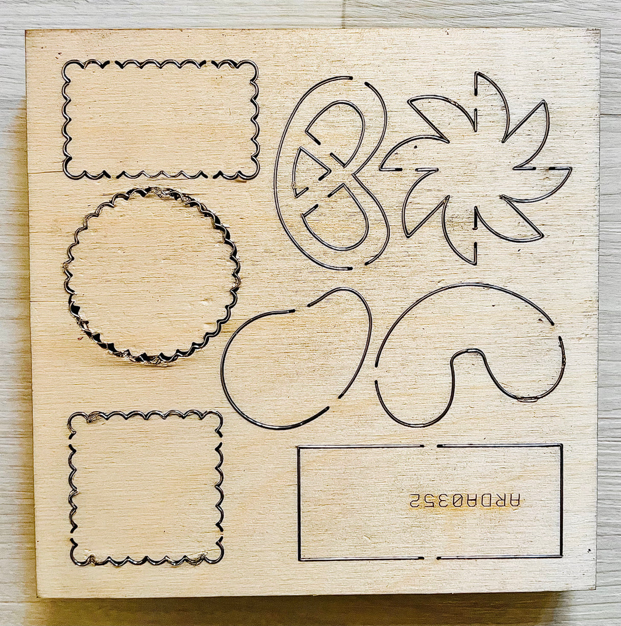 Fustella "Biscotti variegati"