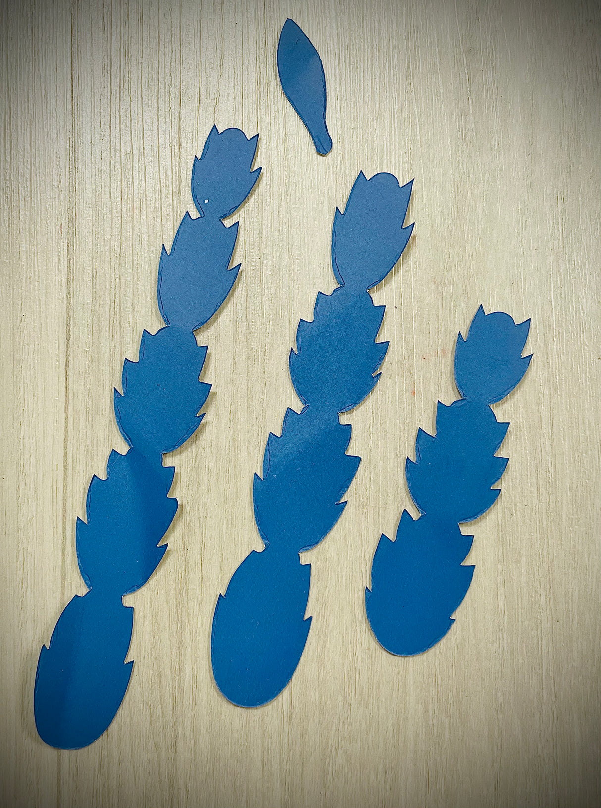 Fustella "Epiphyllum"