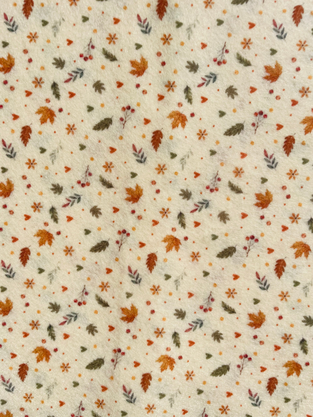 Pannolenci Autunnali Foglie 50x40cm