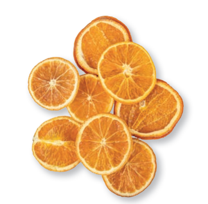 FETTE ARANCIA essicate