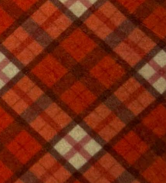 Pannolenci Scozzese 5 - 50x40 cm