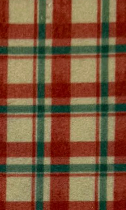 Pannolenci Scozzese 16 - 50x40 cm