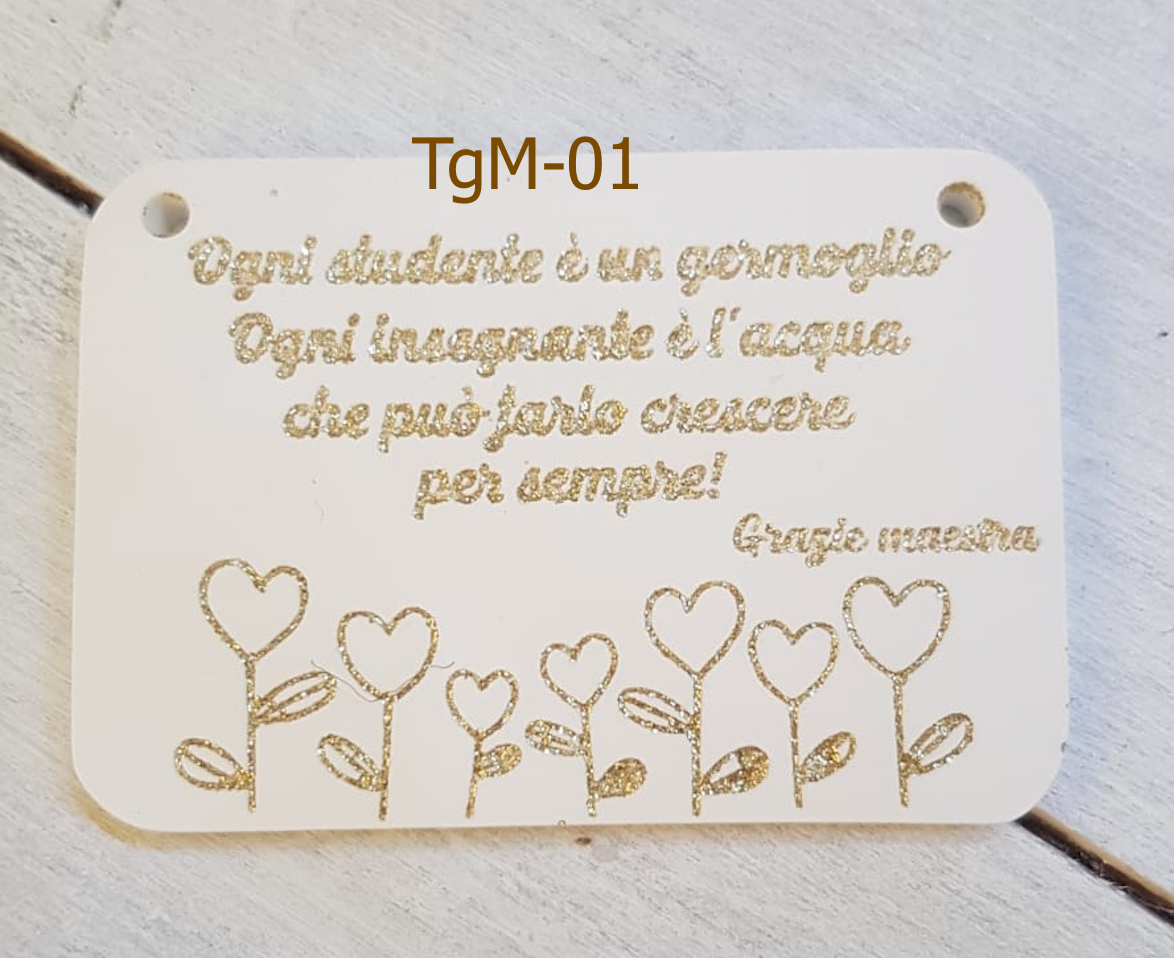 targa Insegnante TgM-01