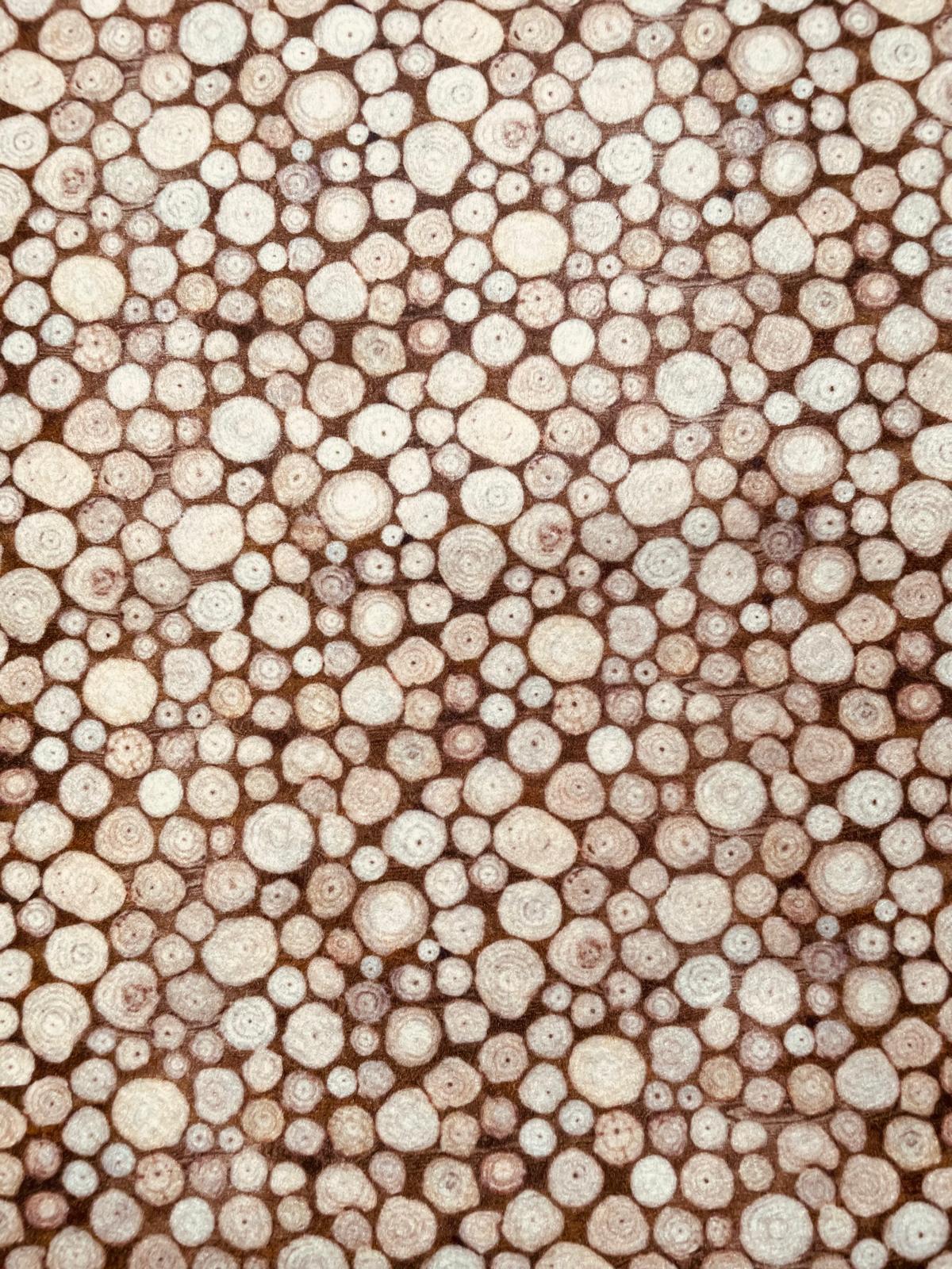 Pannolenci 50x40 cm - Tronchetti