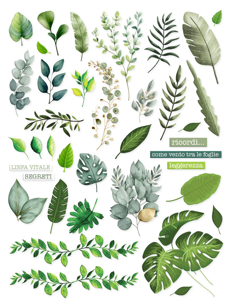 STIKKOSI XL • Foglie