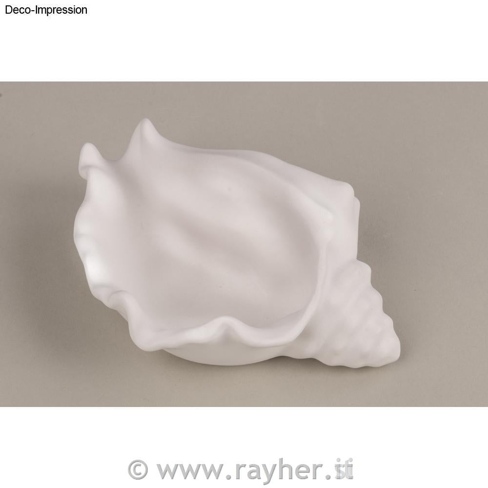 Stampo silicone conchiglia ciotola