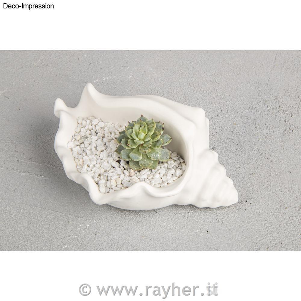 Stampo silicone conchiglia ciotola