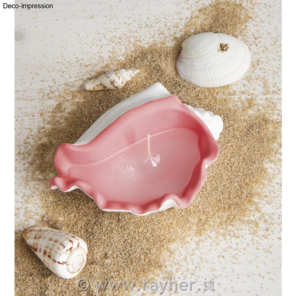 Stampo silicone conchiglia ciotola