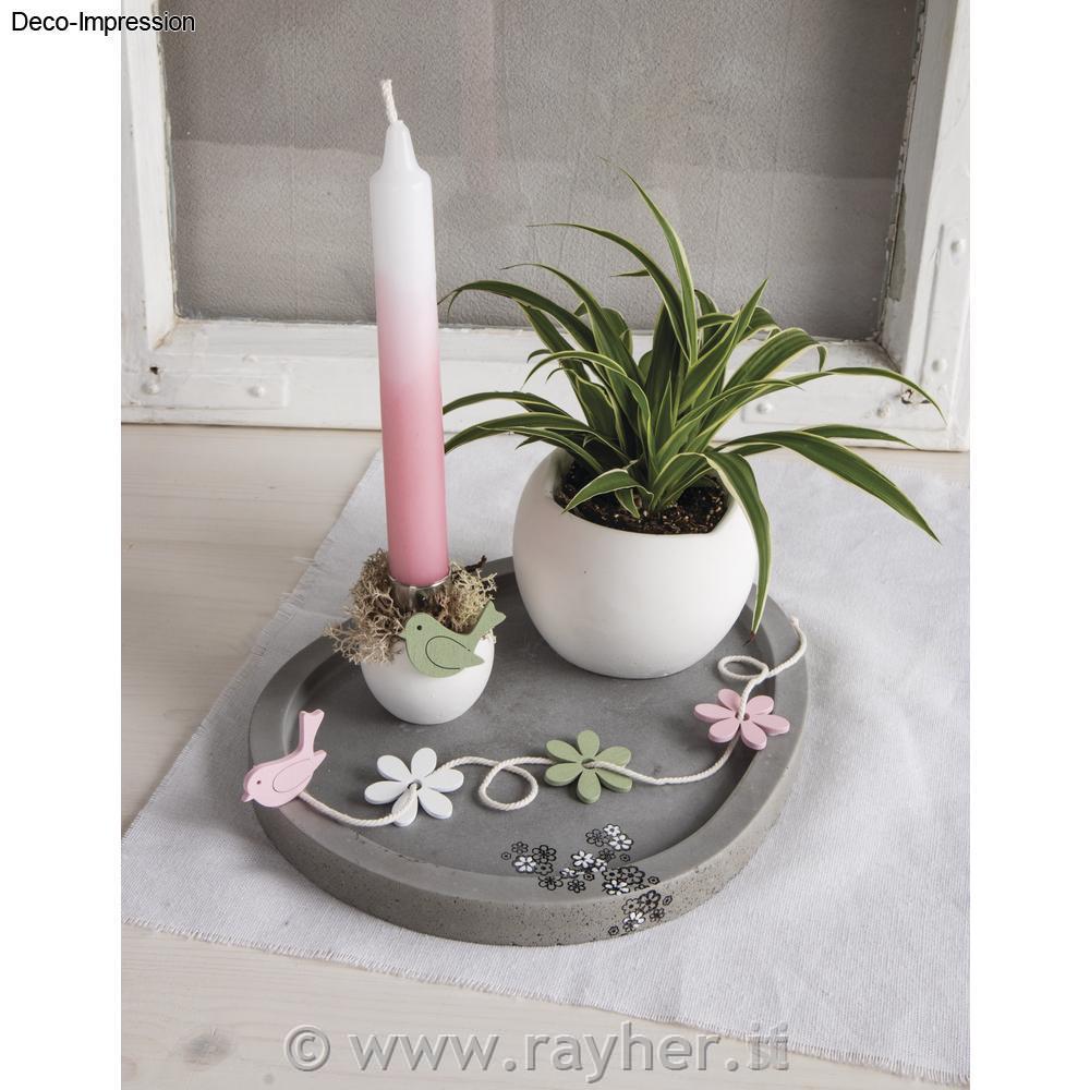 Stampo Pet Vassoio Uovo Grande