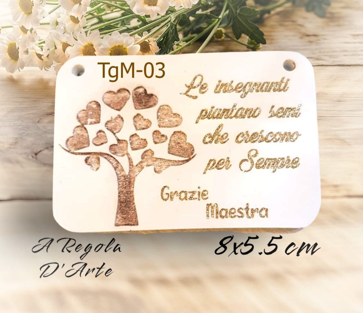 targa Insegnante TgM-03