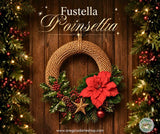 Fustella POINSETTIA
