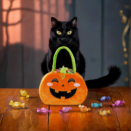 Borsa per Dolcetto o Scherzetto - Trick or Treat - ZUCCA