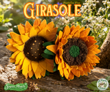 Girasole Plus