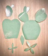 Fustella "Spilly Cactus e Opuntia tortispina"
