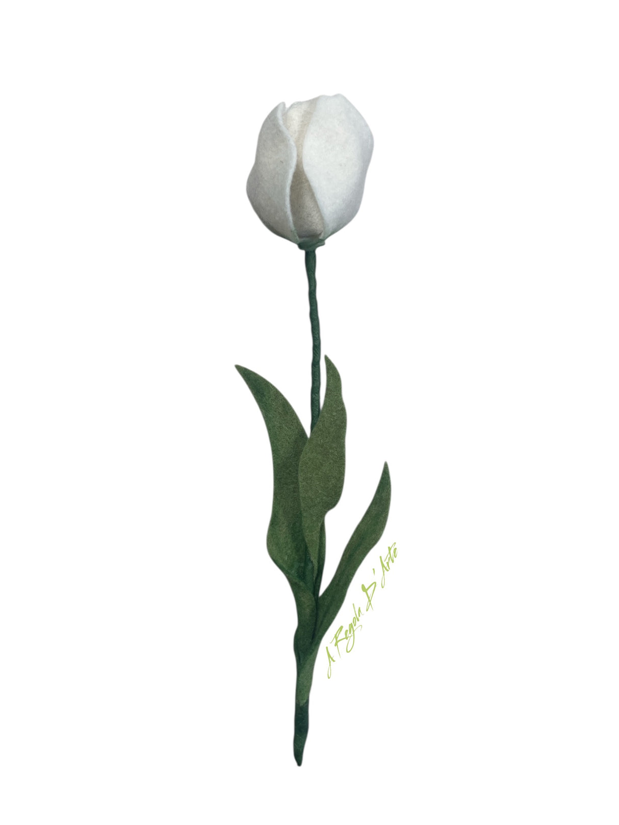 Kit "1 Tulipano"