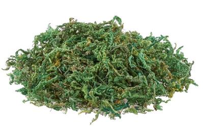 muschio decorativo 9gr.